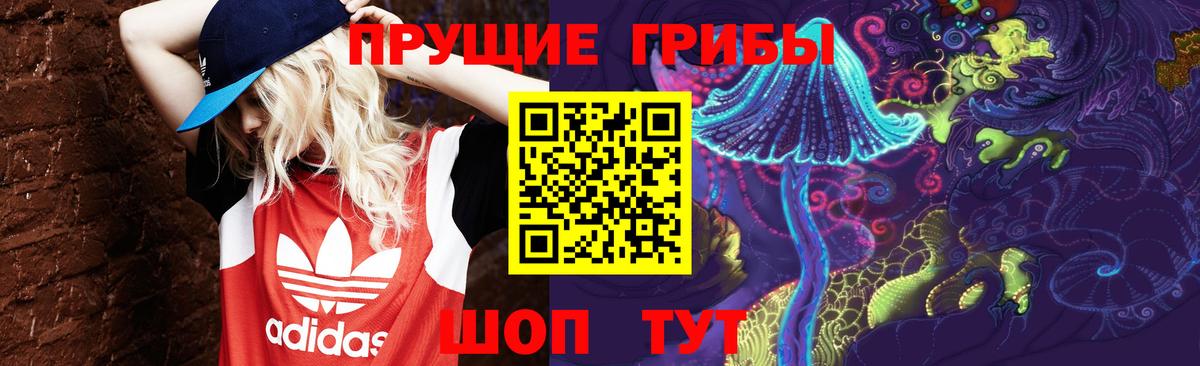 Смоленск  Псилоцибиновые грибы Cubensis  Вход с VPN 